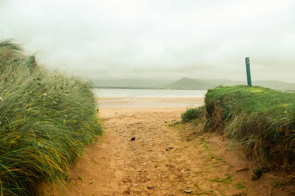 A summer day photograph for the Summer day Film Recipe Collection